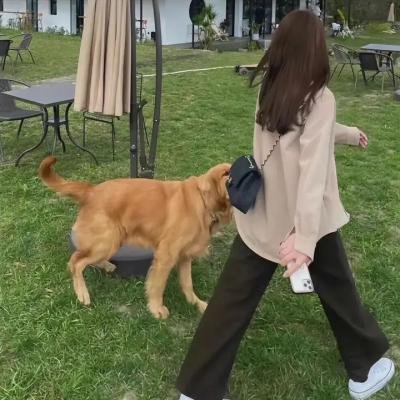 狂恋高校生